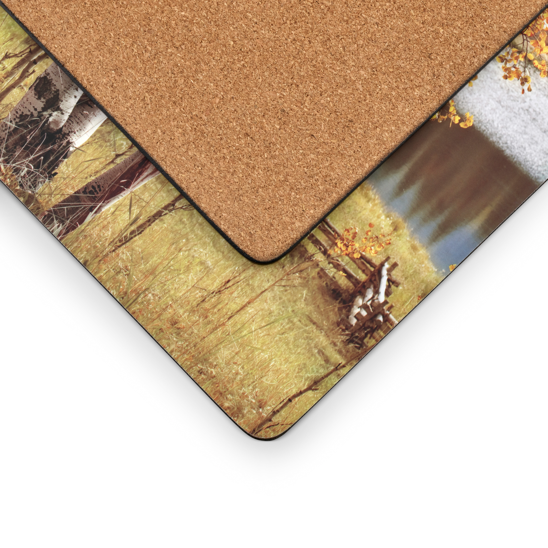 Birch Beauty Placemats Set of 4 image number null