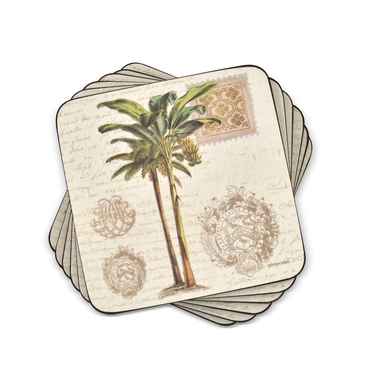 Vintage Palm Study Set of 6 Coasters image number null